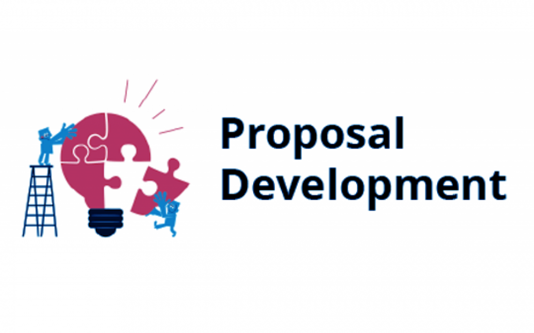 Proposal Development Process Outsourcing© – Project Based