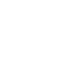 Assess Your Business icon